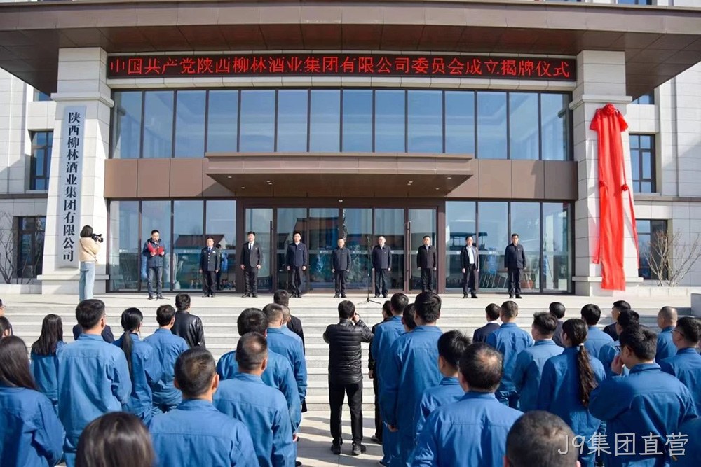 风劲帆满启新程 党建引领谱新篇 |中共J9集团直营委员会成立